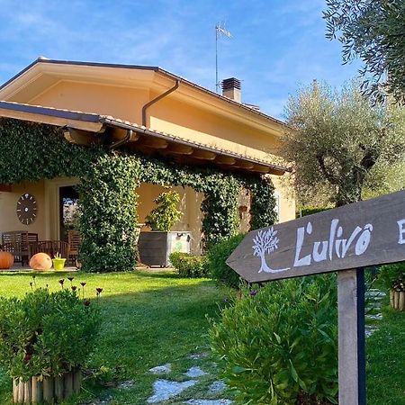 L' Ulivo Bed & Breakfast Teramo Exterior photo